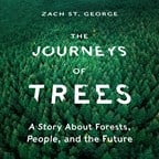 THE JOURNEYS OF TREES