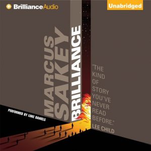 Marcus Sakey: Brilliance