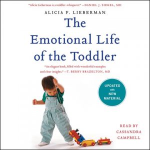 The Emotional Life of a Toddler