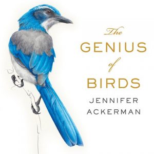 The Genius of Birds