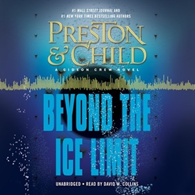 Beyond the Ice Limit