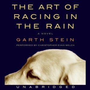 The Art of Racing in the Rain