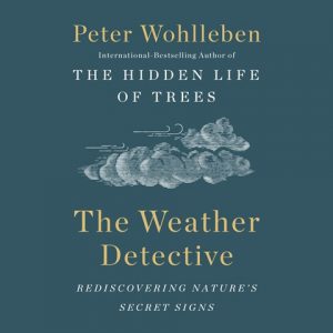 The Weather Detective