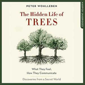 The Hidden Life of Trees