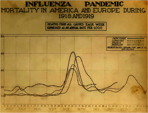 Influenza Pandemic Mortality in 1918 1919