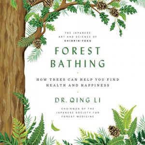 Forest Bathing