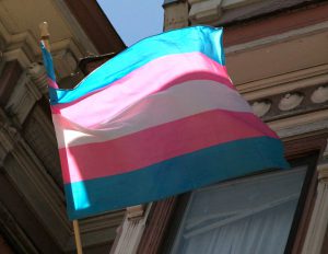 Trans Flag