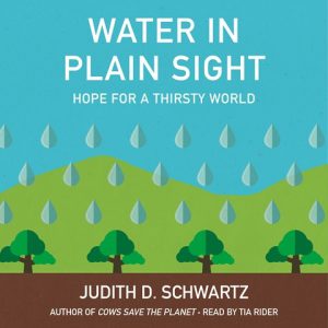 Water In Plain Sight