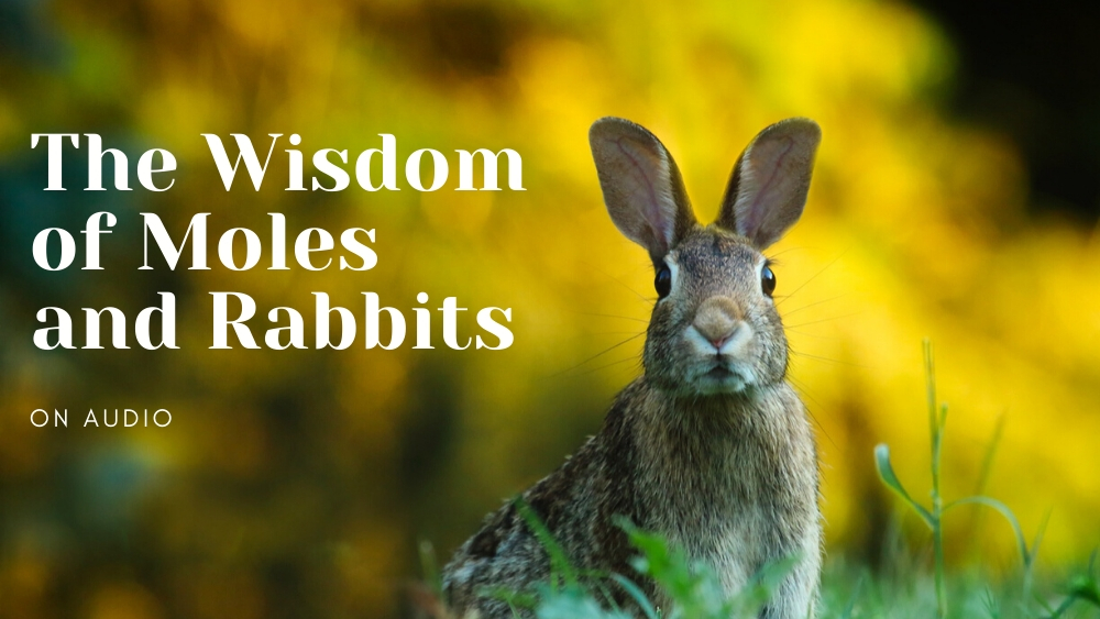 The Wisdom of Moles and Rabbits