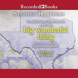 Big Wonderful Thing