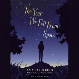 The Year We Fell From Space