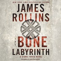 THE BONE LABYRINTH