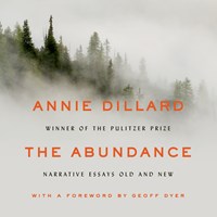 THE ABUNDANCE