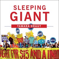 SLEEPING GIANT