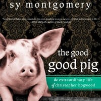 THE GOOD GOOD PIG