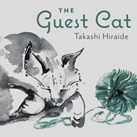 THE GUEST CAT