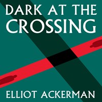 DARK AT THE CROSSING