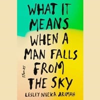 WHAT IT MEANS WHEN A MAN FALLS FROM THE SKY