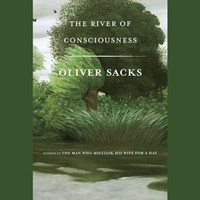 THE RIVER OF CONSCIOUSNESS