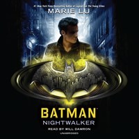 BATMAN: NIGHTWALKER