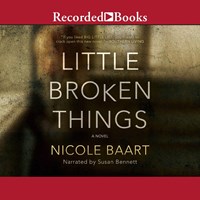 LITTLE BROKEN THINGS