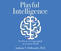 PLAYFUL INTELLIGENCE