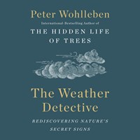 THE WEATHER DETECTIVE