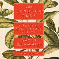THE TANGLED TREE