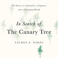 IN SEARCH OF THE CANARY TREE 