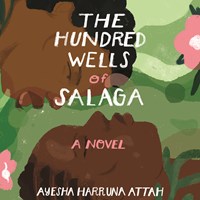 THE HUNDRED WELLS OF SALAGA