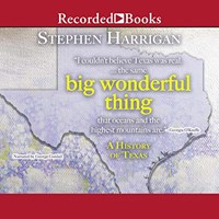 BIG WONDERFUL THING