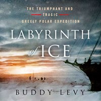 LABYRINTH OF ICE