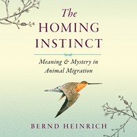 THE HOMING INSTINCT