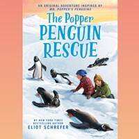 THE POPPER PENGUIN RESCUE