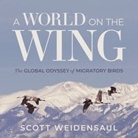 A WORLD ON THE WING