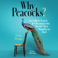 WHY PEACOCKS? 