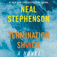 TERMINATION SHOCK