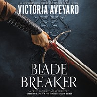 BLADE BREAKER