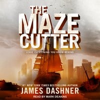 THE MAZE CUTTER