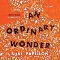 AN ORDINARY WONDER