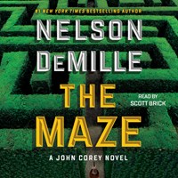 THE MAZE