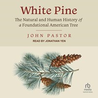 WHITE PINE