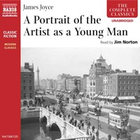 A PORTRAIT OF THE ARTIST AS A YOUNG MAN