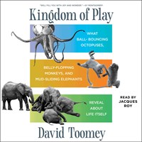 KINGDOM OF PLAY