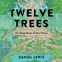 TWELVE TREES