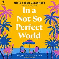 IN A NOT SO PERFECT WORLD