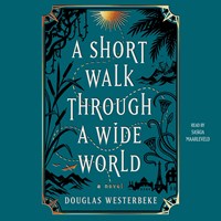 A SHORT WALK THROUGH A WIDE WORLD
