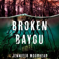 BROKEN BAYOU