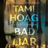BAD LIAR