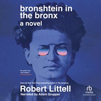 BRONSHTEIN IN THE BRONX